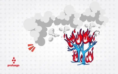 Humos y gases en la combustión